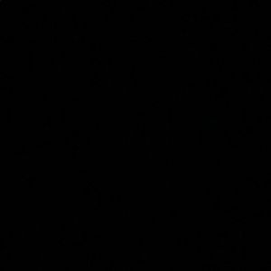 Meet your Posher, Sofia